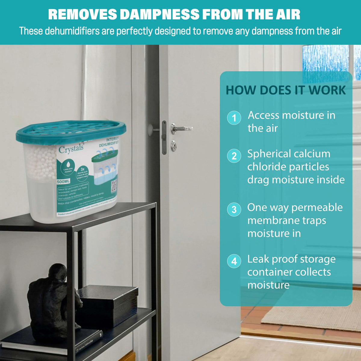 Dehumidifier Damp Trap – Moisture Absorber for Mould & Mildew Prevention.