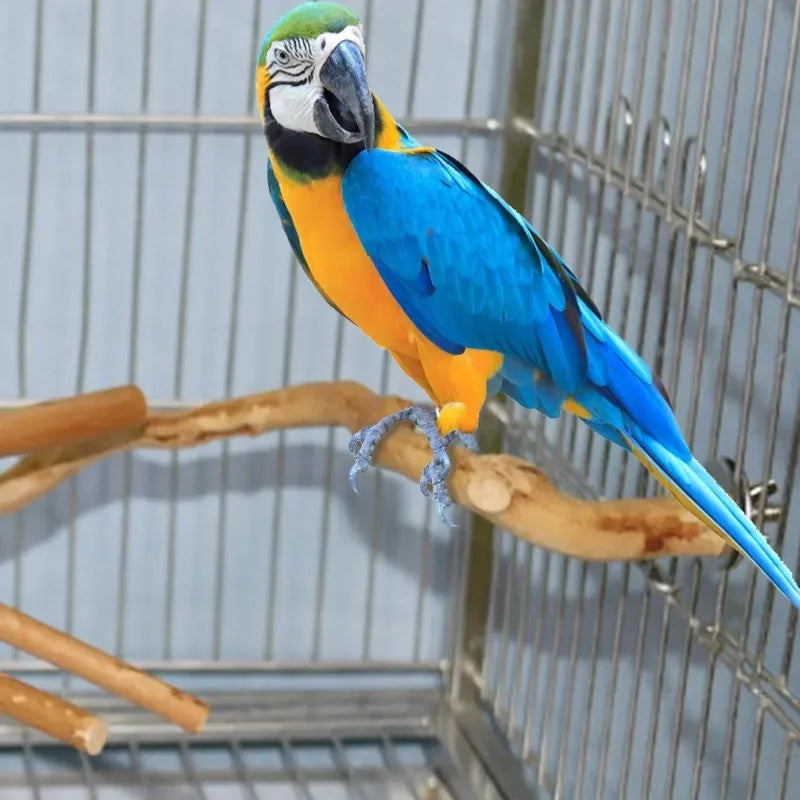 Natural Parrot Perch – Wooden Bird Stand & Climbing Branch for Parakeets.