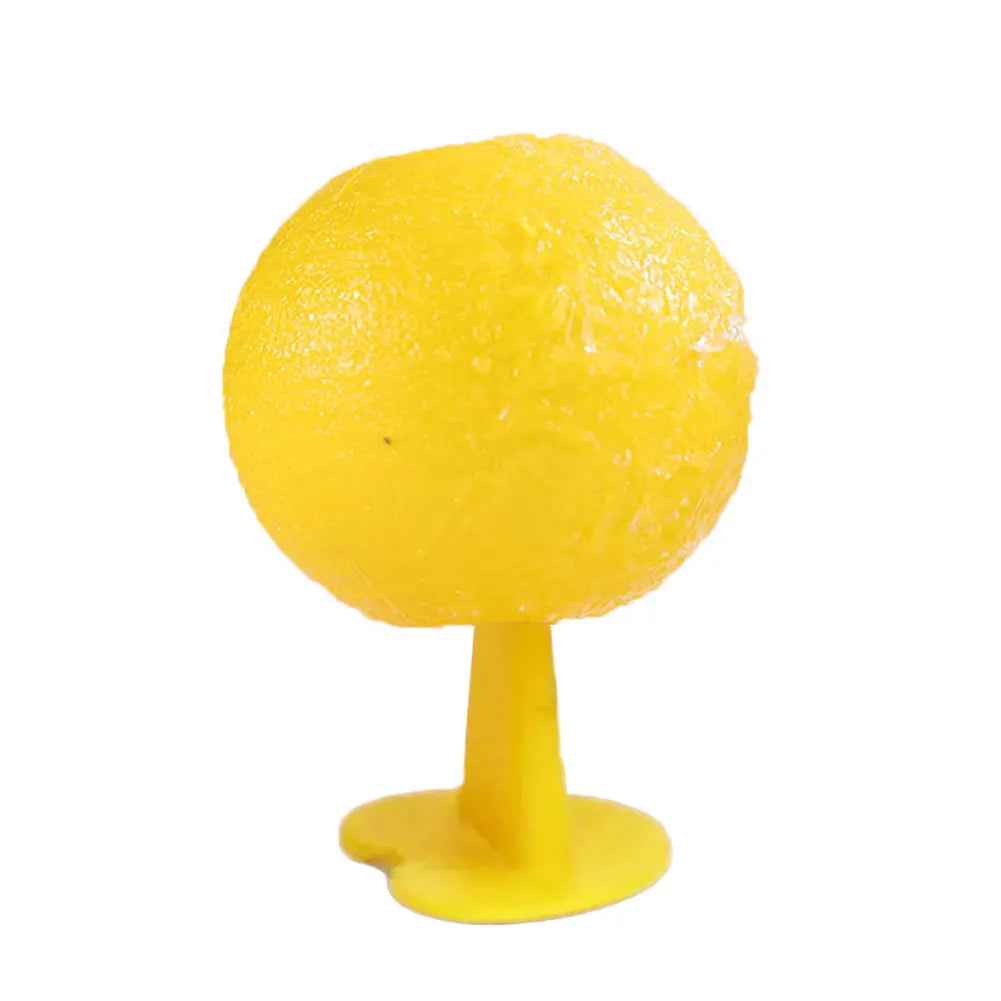 Reusable Fruit Fly Trap – Fruit Fly & Mosquito Catcher for Home and Farm.