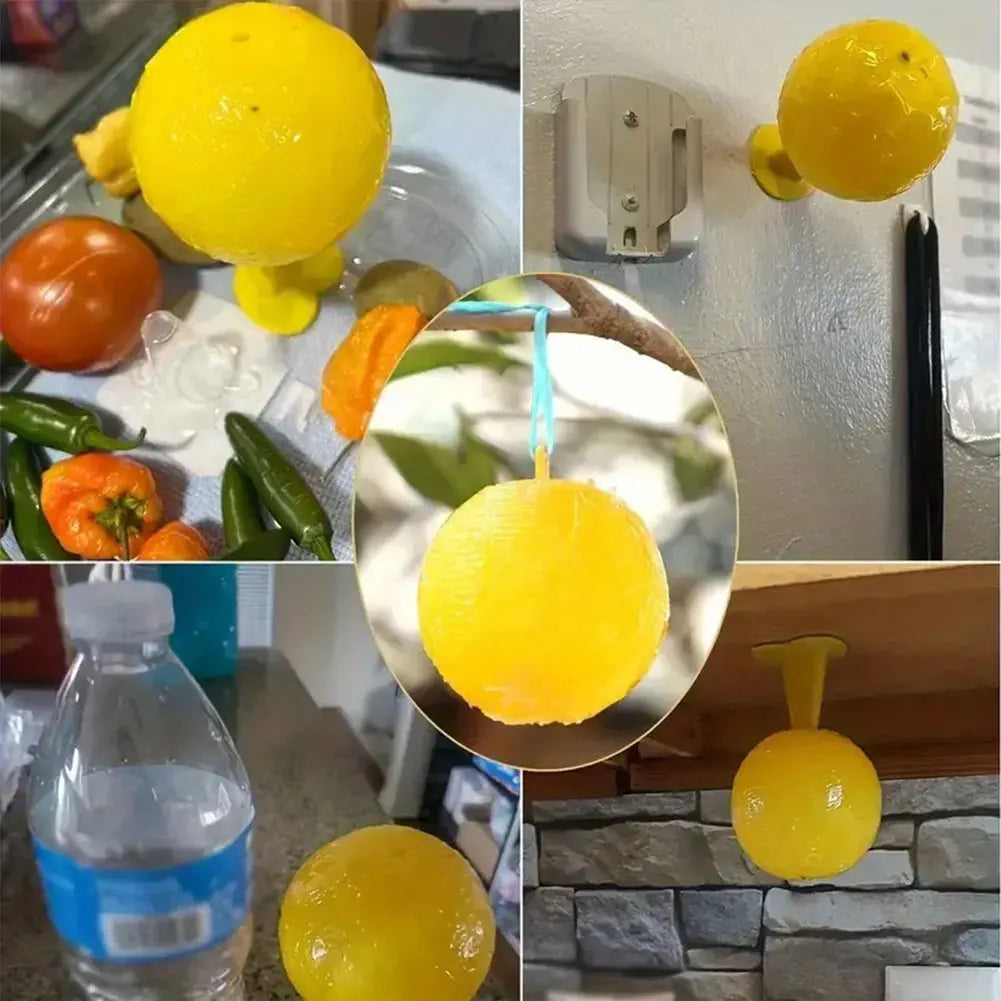 Reusable Fruit Fly Trap – Fruit Fly & Mosquito Catcher for Home and Farm.