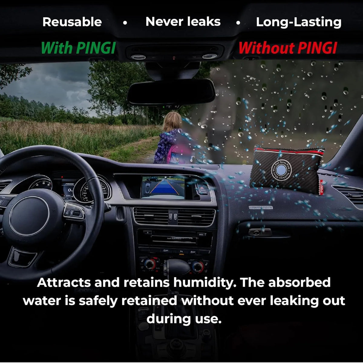 Dehumidifier – Moisture Absorber for Car & Home, Reusable Damp & Condensation Control