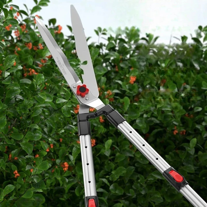Garden Pruning Shears – Fruit Tree, Flower & Branch Trimming Scissors.