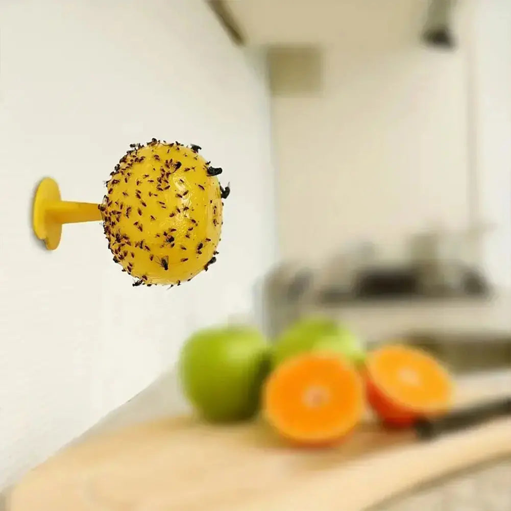 Reusable Fruit Fly Trap – Fruit Fly & Mosquito Catcher for Home and Farm.
