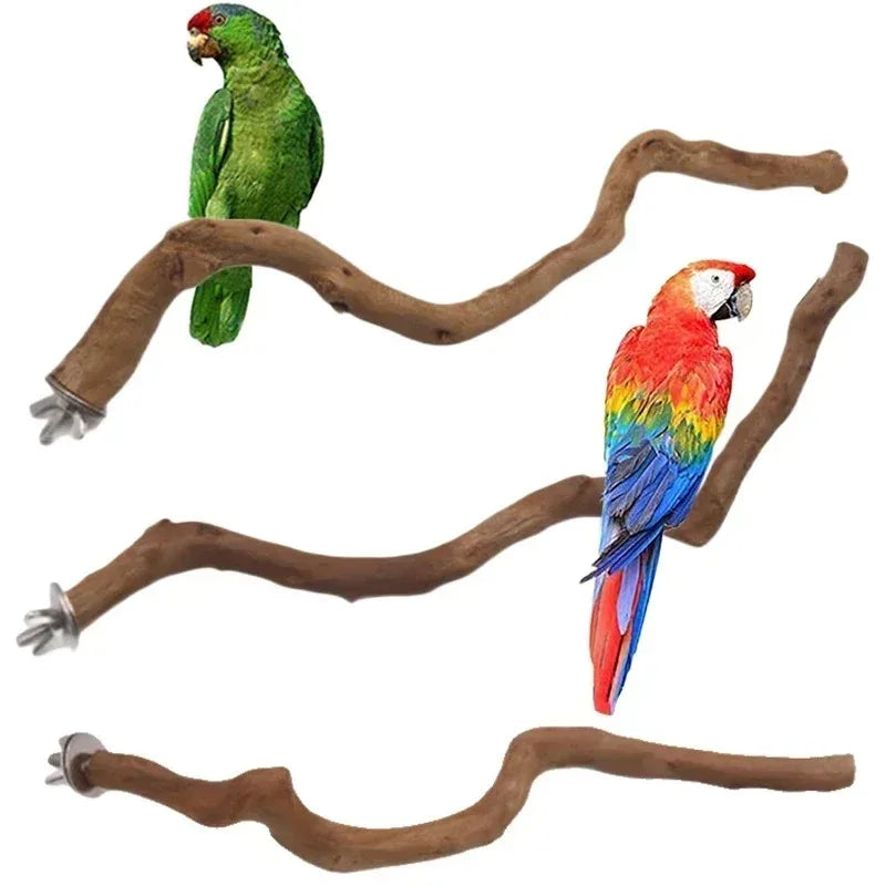 Natural Parrot Perch – Wooden Bird Stand & Climbing Branch for Parakeets.