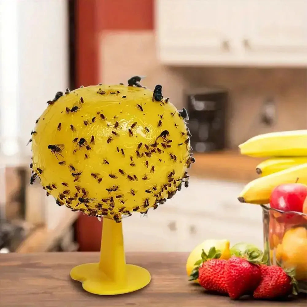 Reusable Fruit Fly Trap – Fruit Fly & Mosquito Catcher for Home and Farm.