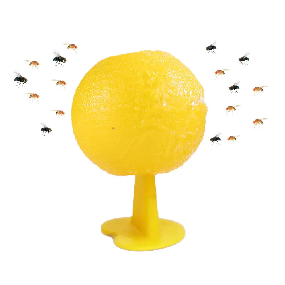 Reusable Fruit Fly Trap – Fruit Fly & Mosquito Catcher for Home and Farm.