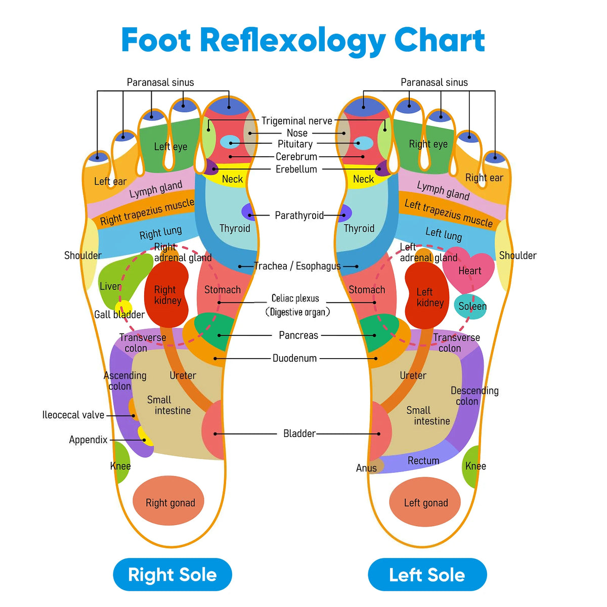 Vital Leg. Electric Foot Massager with Heat & Vibration – Infrared Foot Relaxation Device.