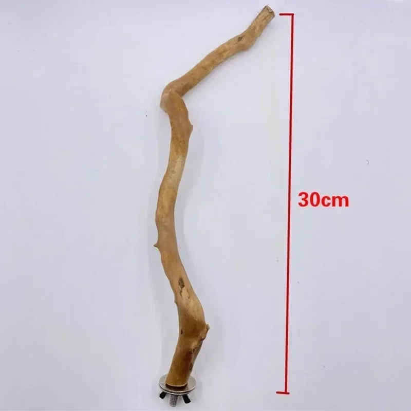 Natural Parrot Perch – Wooden Bird Stand & Climbing Branch for Parakeets.