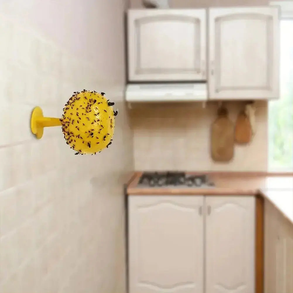 Reusable Fruit Fly Trap – Fruit Fly & Mosquito Catcher for Home and Farm.