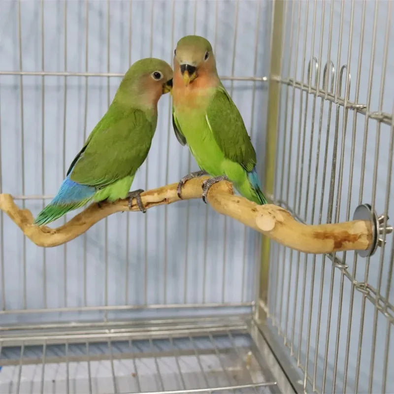 Natural Parrot Perch – Wooden Bird Stand & Climbing Branch for Parakeets.